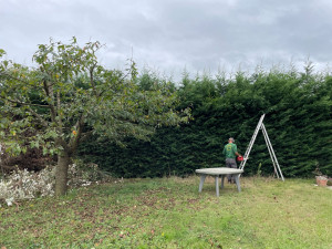 Photo de galerie - Rabattage d’une haie et taille des cotes 