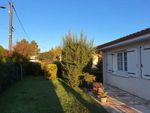 Photo de galerie - Veuillez me contacter. Pour plus de renseignements. Pour la taille. 