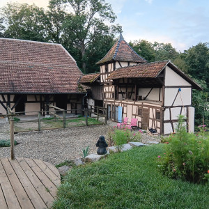 Photo de galerie - Home sitting - Accueil - Gardiennage