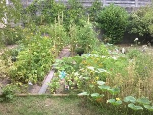 Photo de galerie - Jardin à cultiver / Jardin ouvrier / Jardin potager / Lopin de terre