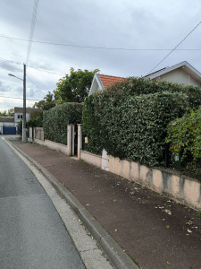 Photo de galerie - Taille de haies et d'arbustes