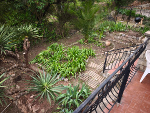 Photo de galerie - Remise en état de vos jardins