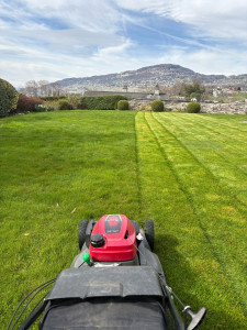 Photo de galerie - Tonte gazon 