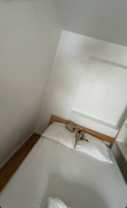 Photo de galerie - Peinture - Tapisserie