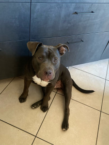 Photo de galerie - Loki  Adorable joueur et pot de col❤️❤️❤️❤️?