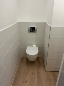 Photo de galerie - Création d’un wc suspendu