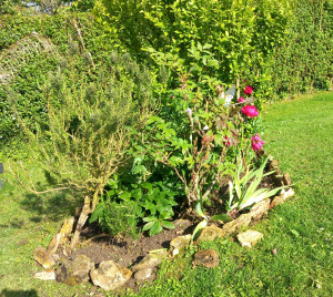 Photo de galerie - Paysagiste - Aménagement du jardin