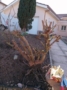 Photo de galerie - Paysagiste - Aménagement du jardin