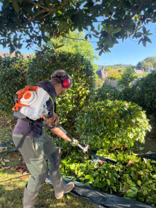 Photo de galerie - Jardinier