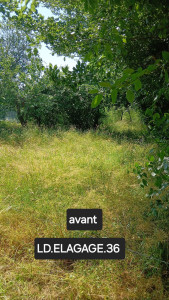 Photo de galerie - Tonte de pelouse - Débroussaillage