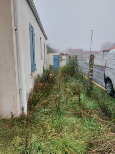 Photo de galerie - Tonte de pelouse - Débroussaillage