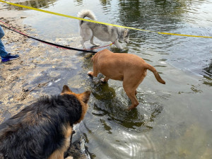 Photo de galerie - Balade en groupe 