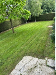 Photo de galerie - Tonte ?