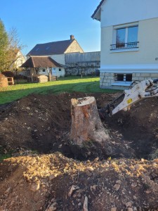 Photo de galerie - Elagage et coupe d'arbres