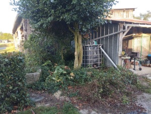 Photo de galerie - Paysagiste - Aménagement du jardin