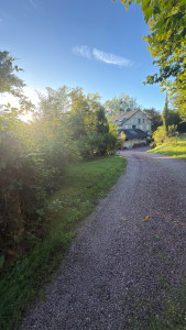 Photo de galerie - Paysagiste - Aménagement du jardin