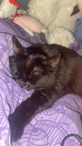 Photo de galerie - ?