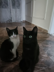 Photo de galerie - Passage régulier a domicile pour prendre de ces bout de chou 