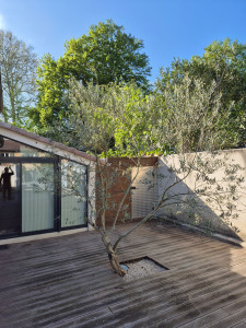 Photo de galerie - Paysagiste - Aménagement du jardin