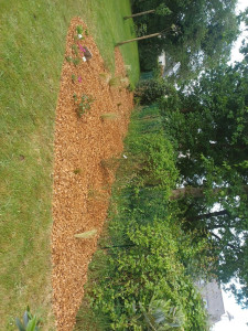 Photo de galerie - Plantation 