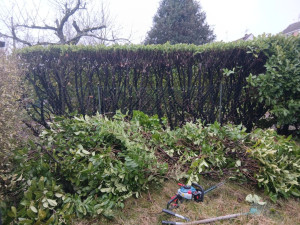 Photo de galerie - Début de la coupe 