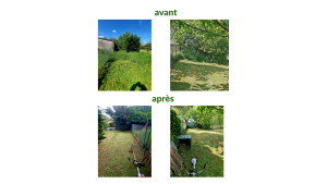 Photo de galerie - Avant/après 