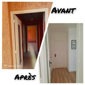 Photo de galerie - Ratissage complet mur + Peinture 