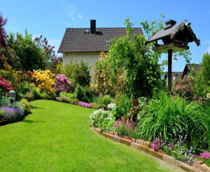 Photo de galerie - Entretien espaces verts 