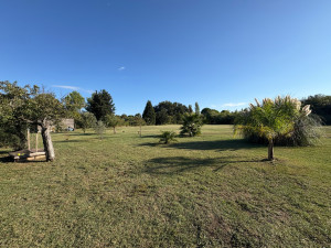 Photo de galerie - Tonte de pelouse - Débroussaillage