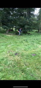 Photo de galerie - Tonte de pelouse - Débroussaillage