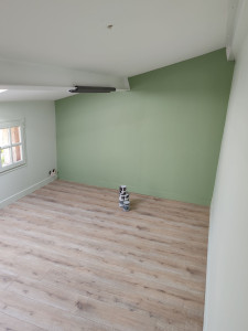 Photo de galerie - Remise en peinture du bureau ainsi que le pose d'un parquet stratifié 