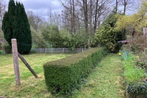 Photo de galerie - Tonte de pelouse - Débroussaillage