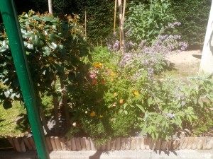 Photo de galerie - Jardinier