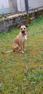 Photo de galerie - Famille d'accueil 
