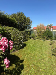 Photo de galerie - Entretien de jardin 