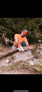 Photo de galerie - Paysagiste - Aménagement du jardin