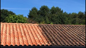 Photo de galerie - Couverture - Toiture