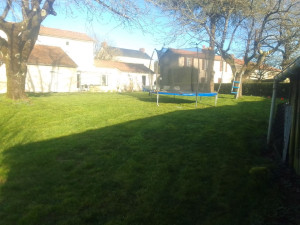 Photo de galerie - Premier tonte de l'année 