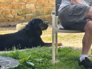 Photo de galerie - Sieste au soleil