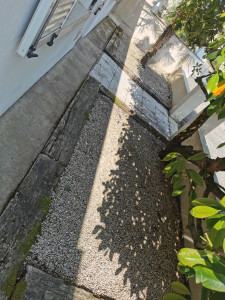 Photo de galerie - Désherbage de massif 