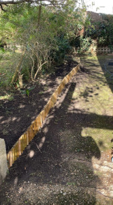 Photo de galerie - Paysagiste - Aménagement du jardin
