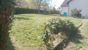 Photo de galerie - Jardinier