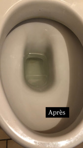 Photo de galerie - Apres détartrage toilettes 