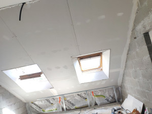 Photo de galerie - Plafond suspendu avec 4 velux