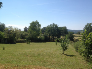 Photo de galerie - Tonte de pelouse - Débroussaillage