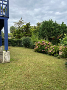 Photo de galerie - Débroussaillage et tonte 