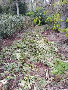 Photo de galerie - Déchet à broyer