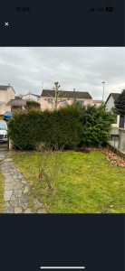 Photo de galerie - Taille de haies et d'arbustes