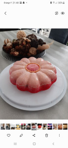 Photo de galerie - Entremets  mousse chocolat  insert ?pour 12 personnes 