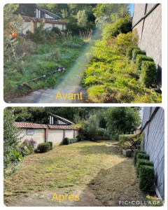 Photo de galerie - Tonte de pelouse - Débroussaillage